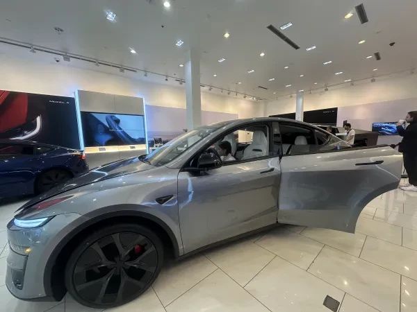 Tesla - photo 3