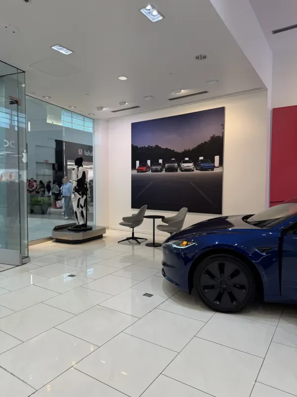 Tesla - photo 4