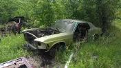 Ron's Auto Salvage