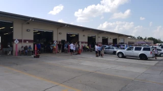 Manheim Lakeland