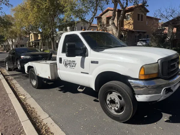 Golden Grizzly towing - photo 2