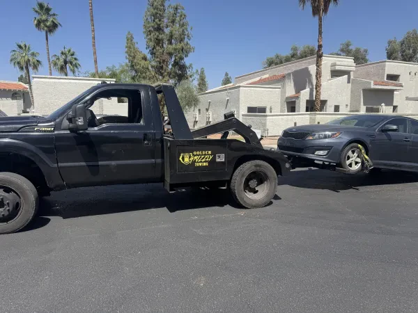 Golden Grizzly towing - photo 3