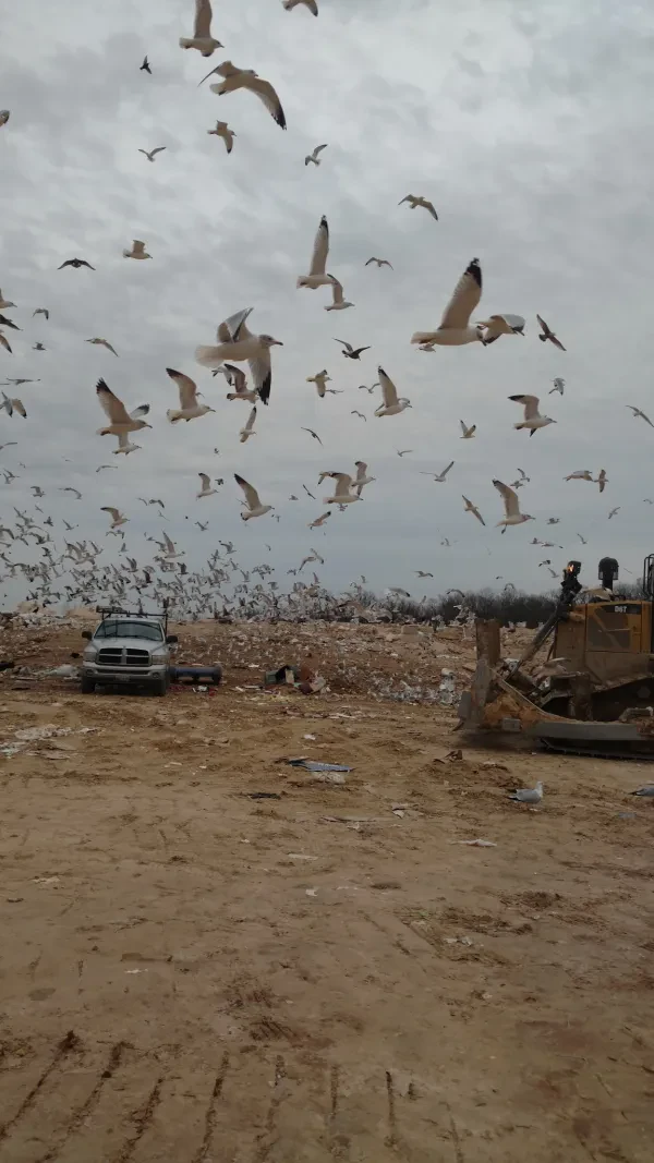 Eastern Sanitary Landfill Solid Waste Management Facility - photo 4