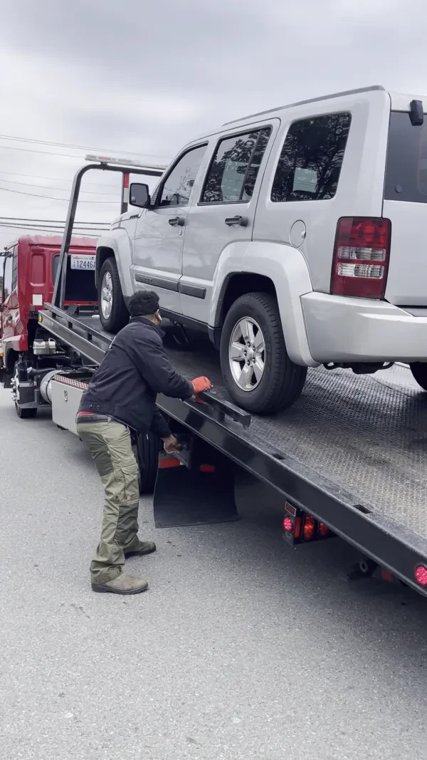 Lion Towing LLC - photo 2