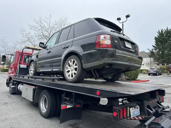 Lion Towing LLC - photo 3