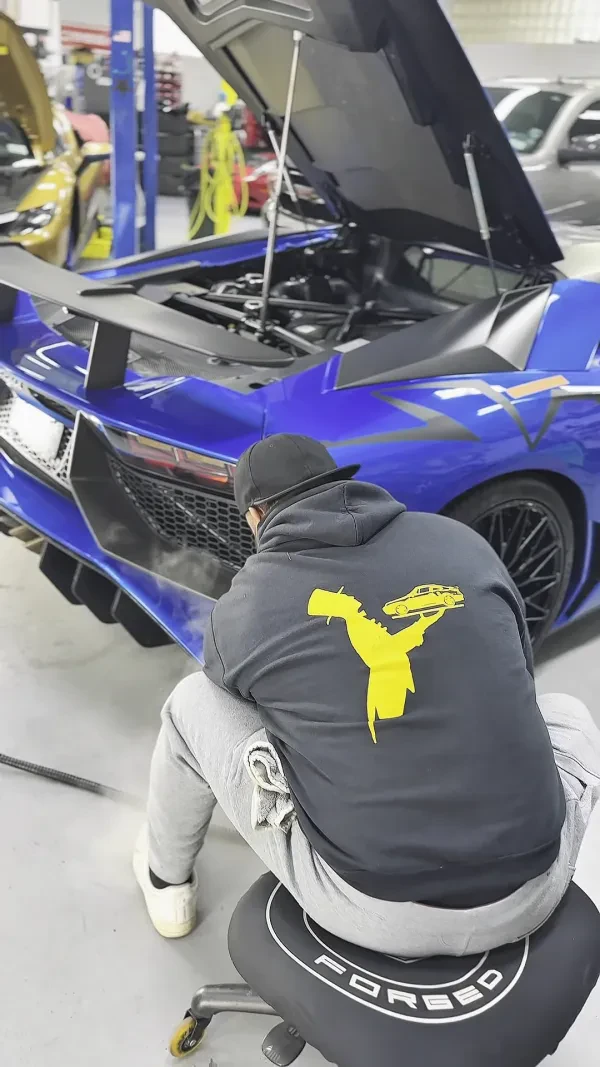 Detailing Dynamics - photo 2