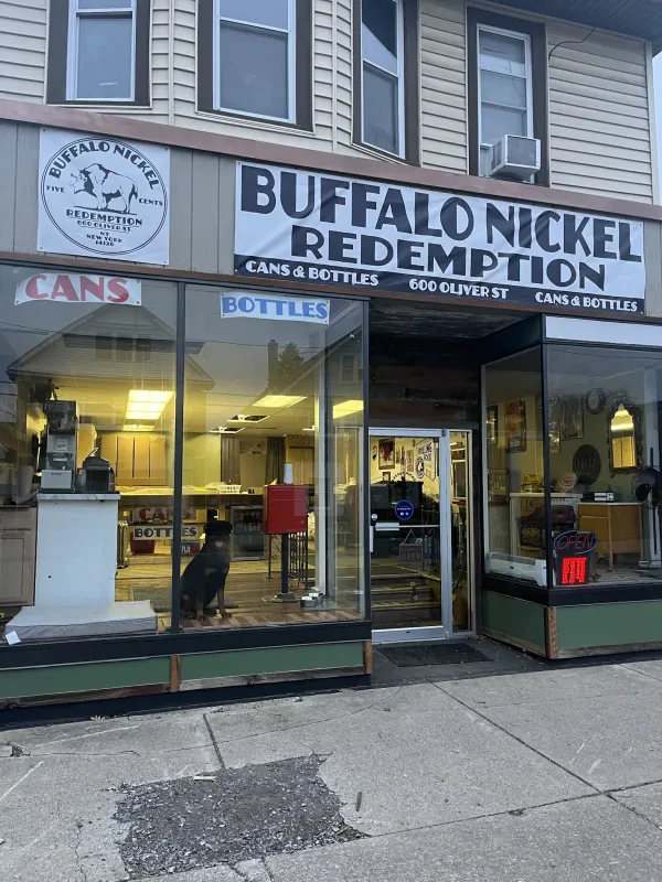 Buffalo Nickel Redemption - photo 3
