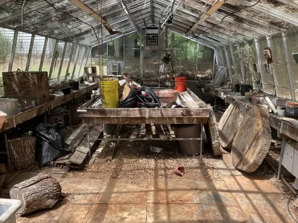 Alabama Junk - photo 2