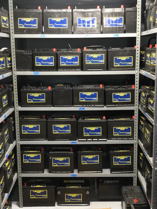 Brooklyn Batteries - photo 3