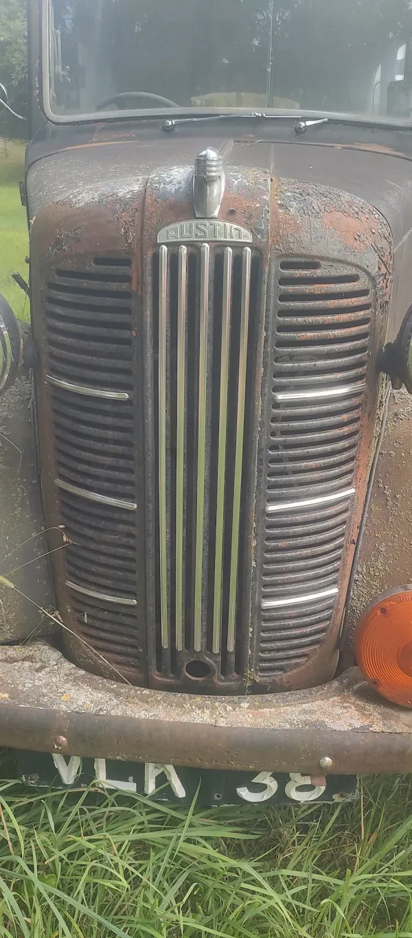 Neumann's Salvage - photo 3