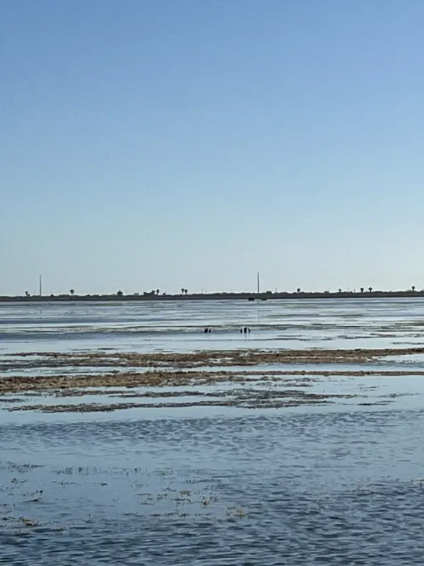 TowBoatUS Port Aransas/Corpus Christi - photo 3