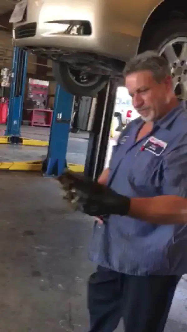Pro Tire Autocare - photo 2