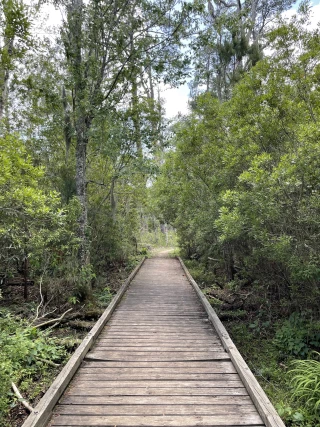 Goose Creek State Park