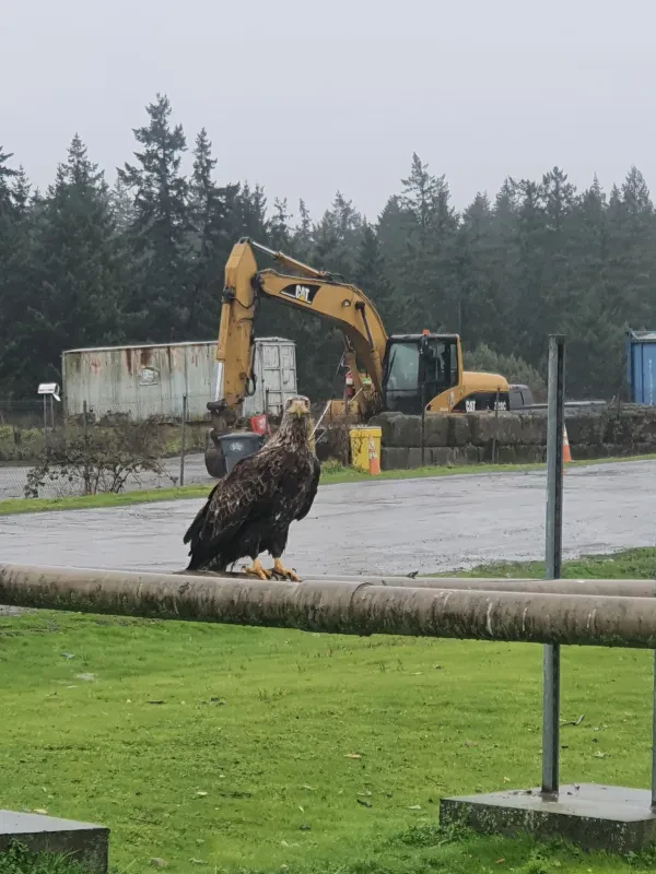 Thurston County Waste and Recovery Center (WARC) - photo 4