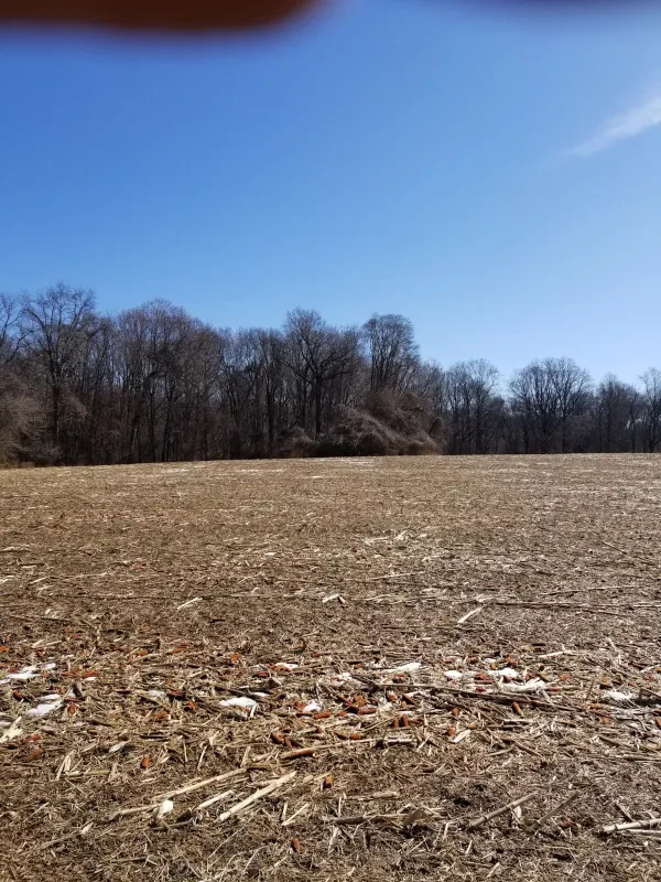 DNREC - Polly Drummond Hill Yard Waste Site - photo 2