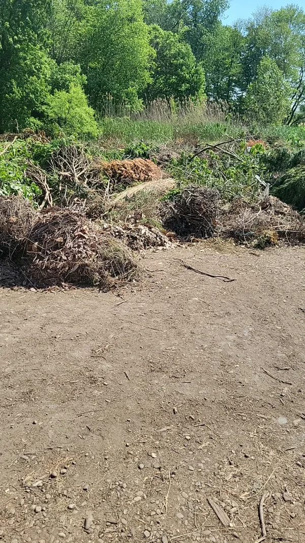 DNREC - Polly Drummond Hill Yard Waste Site - photo 3
