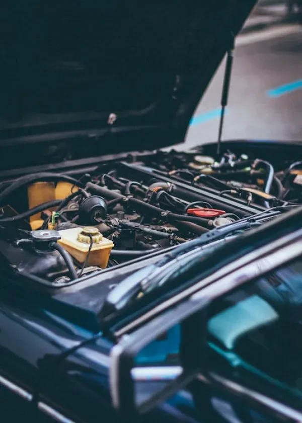 GT Auto LLC - photo 4