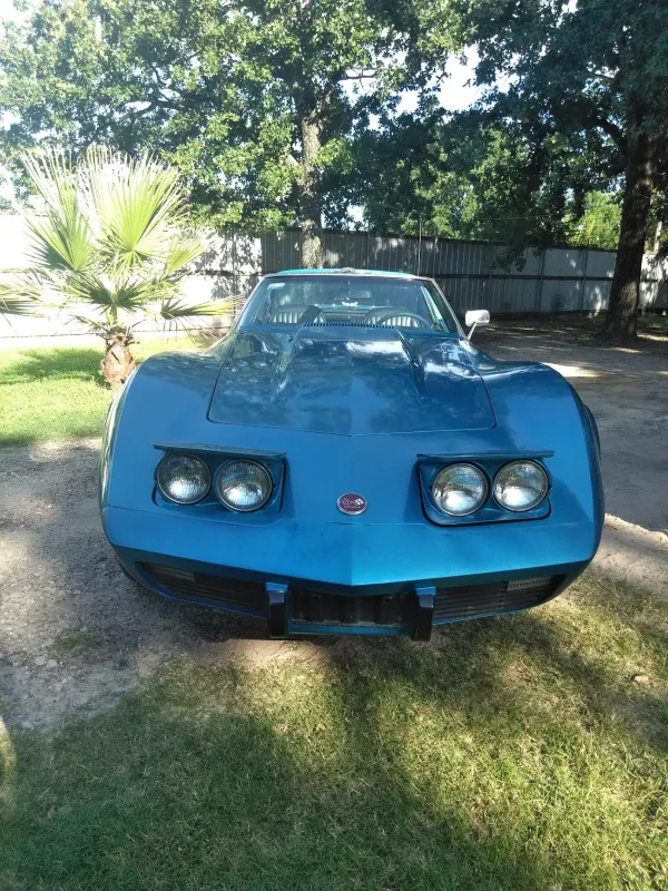 Capozzelli Corvettes - photo 2