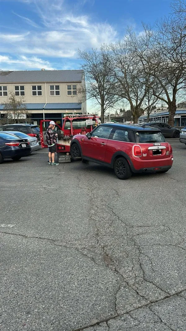 A Rose Towing - photo 3