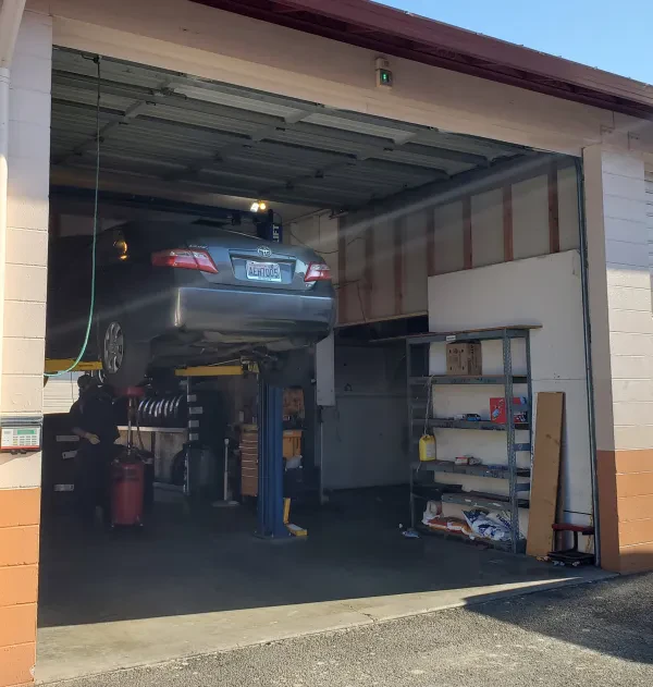 University Place Tire & Auto - photo 4