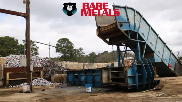 Bare Metals - Griffin - photo 3
