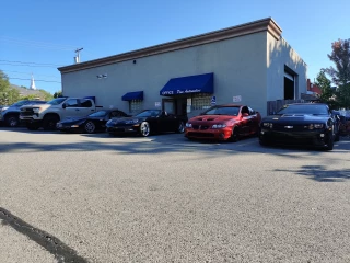 Pine Auto LLC