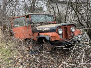 Ray's Salvage & Repair auto wrckng