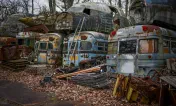 Wade Salvage Inc