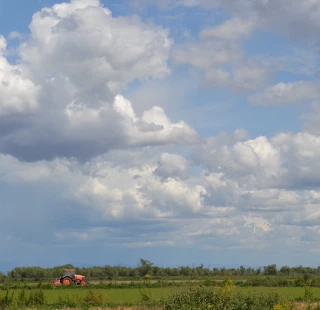 Rancho Llano Seco