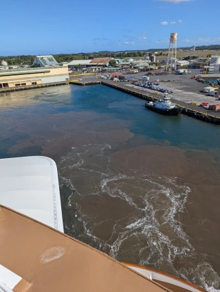 Hilo