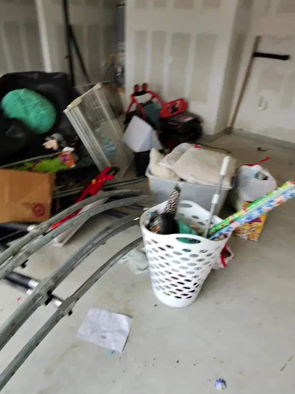 The Junk Squad - photo 2