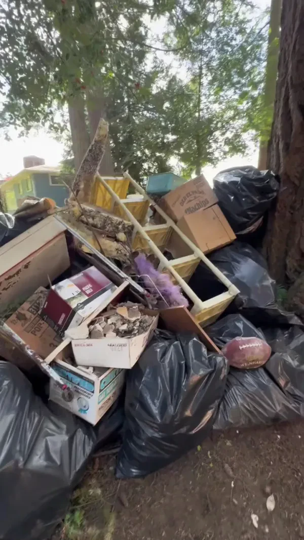 U JUNK IT WE DUMP IT - photo 2