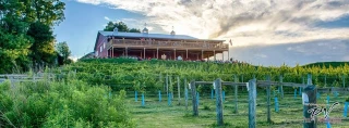 The Vineyard & Brewery at Hershey