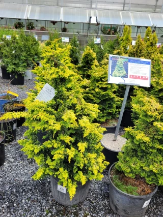 Glenmar Nursery & Garden Center