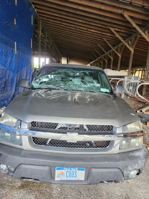 Endless Auto Glass Mobile Services - photo 4
