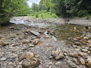 Rocky Dale Gardens