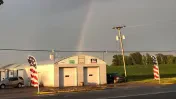 Shaw and Son Auto Repair