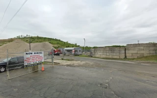Barnabas Stone Plant