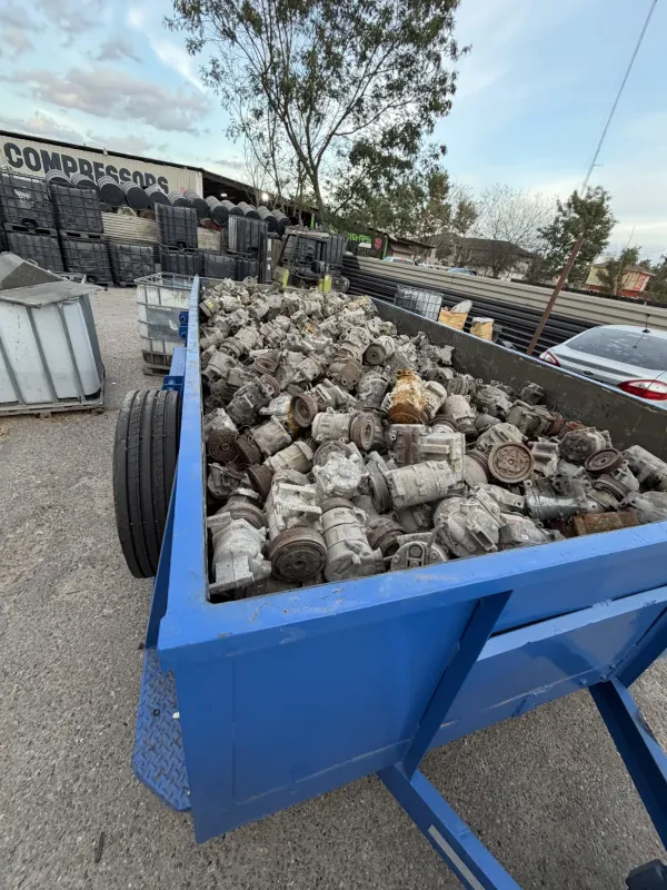 Armadillo recycling - photo 3