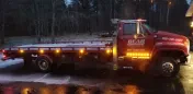 Bear Towing