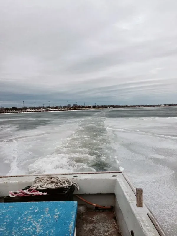 Reynolds TowBoatUS - Bay Shore - Fire Island - Short Beach - photo 4