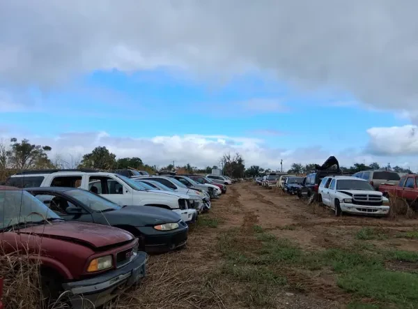 T & B Recycling and Auto Salvage LLC - photo 2