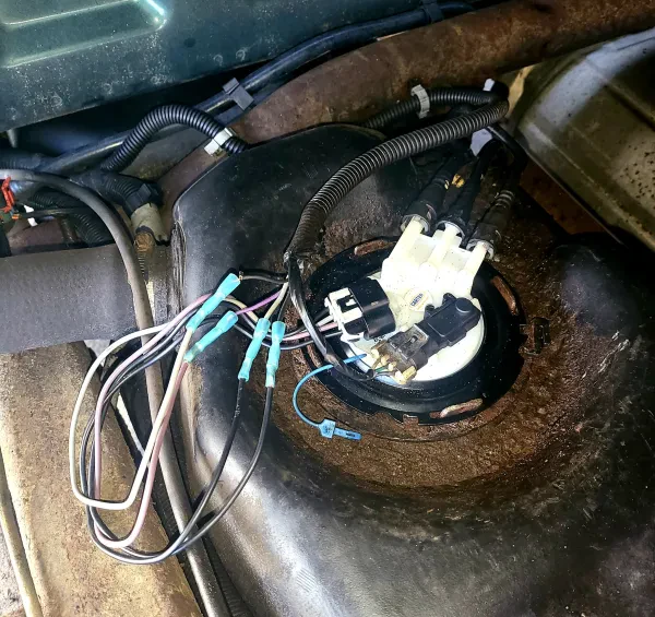 Fisher Auto Parts - photo 3