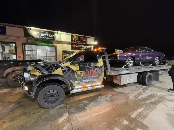 LION TRANSPORT & TOWING - photo 2