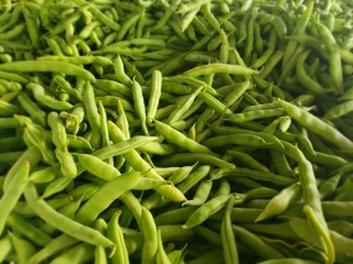 Mann Farms
