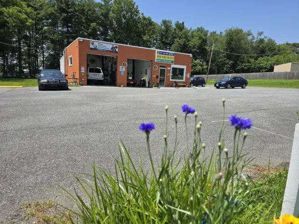 Wilniq Auto Body & Mechanical Repairs - photo 4