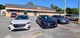 IGOCAR LLC