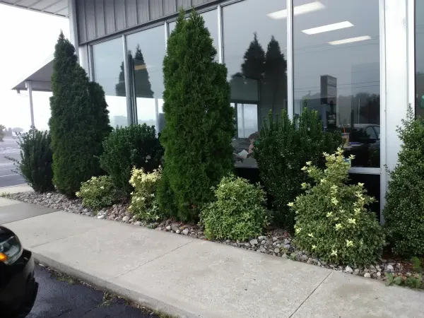 Hertrich Collision Center of Millsboro - photo 3