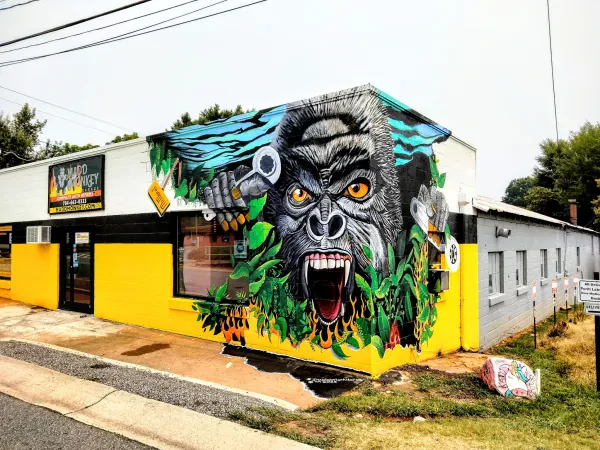 Madd Monkey Garage - photo 2