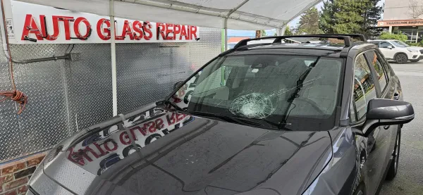 USA Auto Glass & Batteries - photo 4